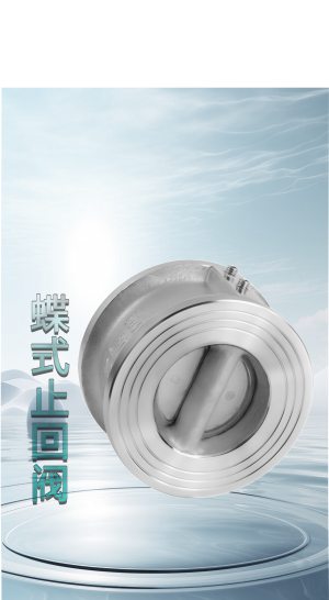 蝶式止回阀